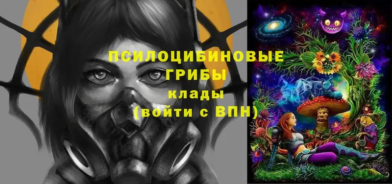 Галлюциногенные грибы GOLDEN TEACHER  Никольское 